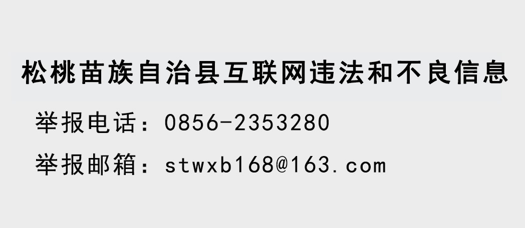 松桃苗族自治县城镇公益性岗位聘用人员公  示