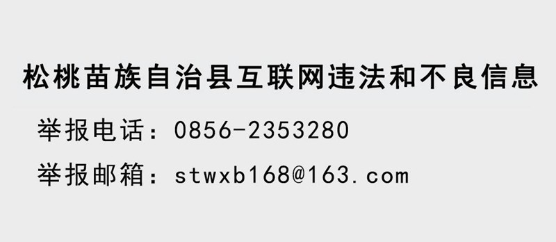 铜仁市2022年下半年事业单位公开招聘应征入伍大学毕业生2024年退役松桃苗族自治县拟聘用公示