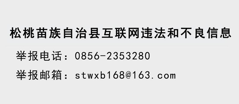 铜仁市2024年“千名英才·智汇铜仁”松桃苗族自治县引才资格复审合格人员公示及面试有关事宜公告